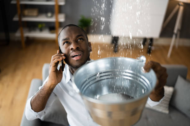 Professional Water damage restoration in Lemon Grove, CA