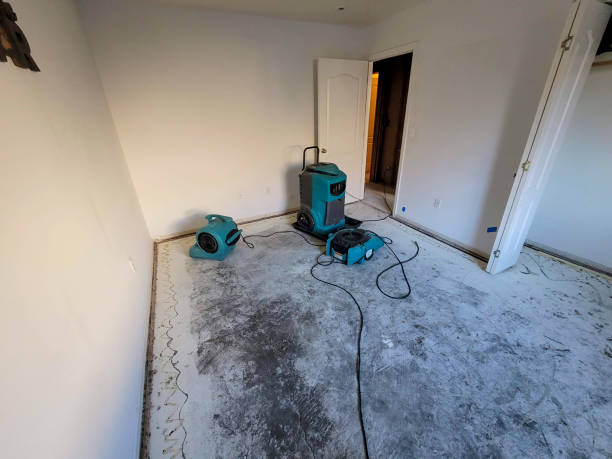 Water damage restoration process in Lemon Grove, CA