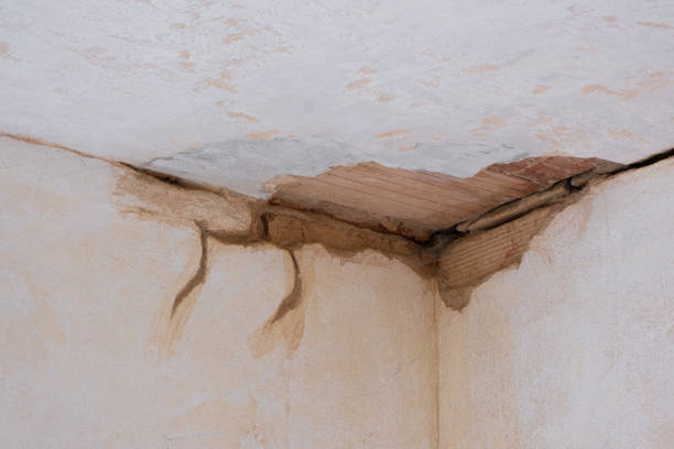 Professional Water damage restoration in Lemon Grove, CA