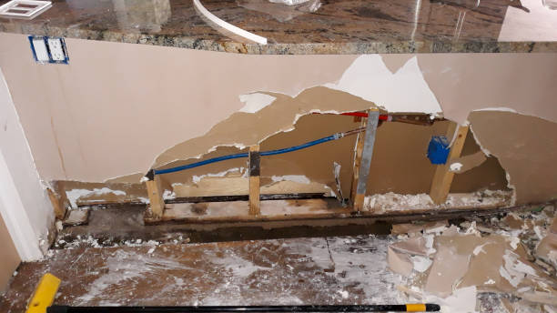 Best Water damage restoration near me  in Lemon Grove, CA