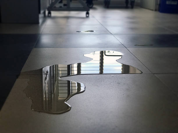 Best Water damage restoration company  in Lemon Grove, CA