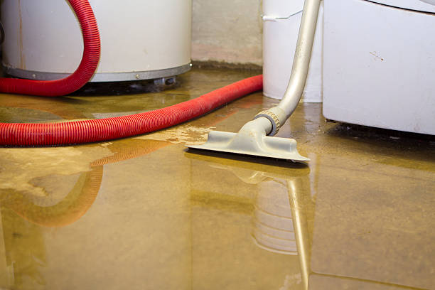 Best Sewage cleanup and water damage restoration  in Lemon Grove, CA