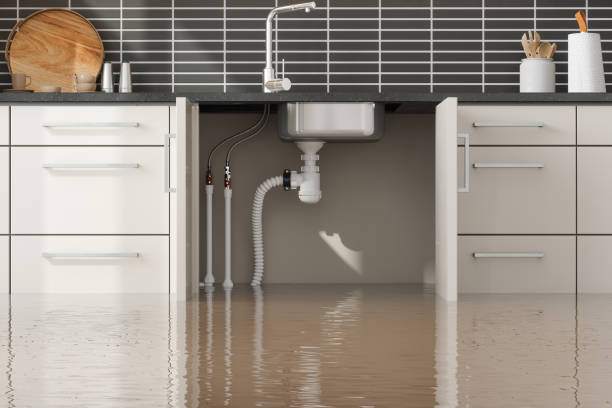 Best Water damage restoration experts  in Lemon Grove, CA